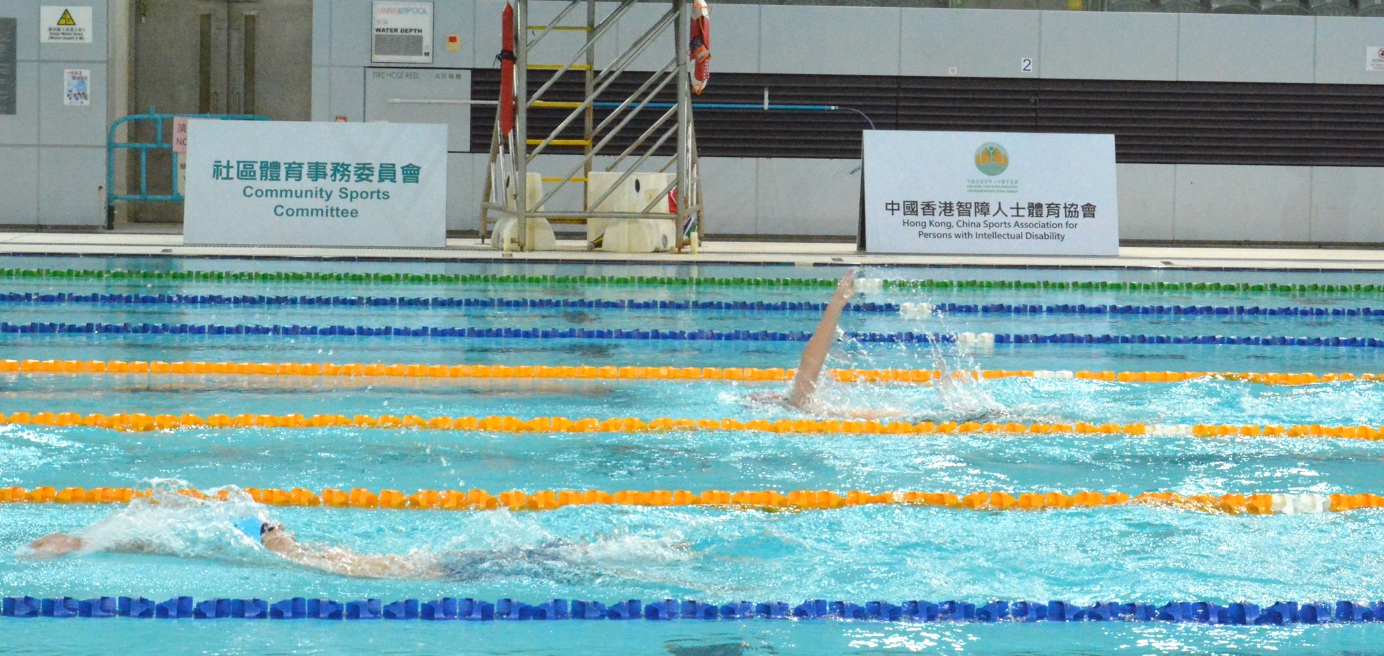 Swimming Competition for People with Intellectual Disabilities