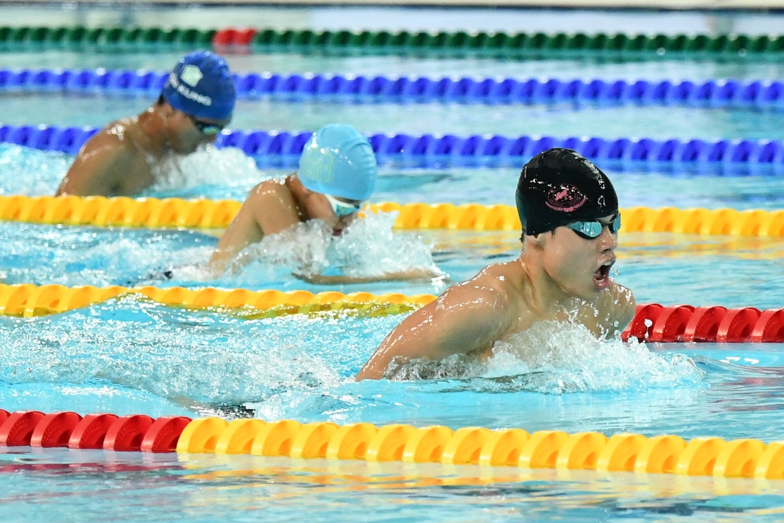 Banner of Swimming, 游泳橫幅