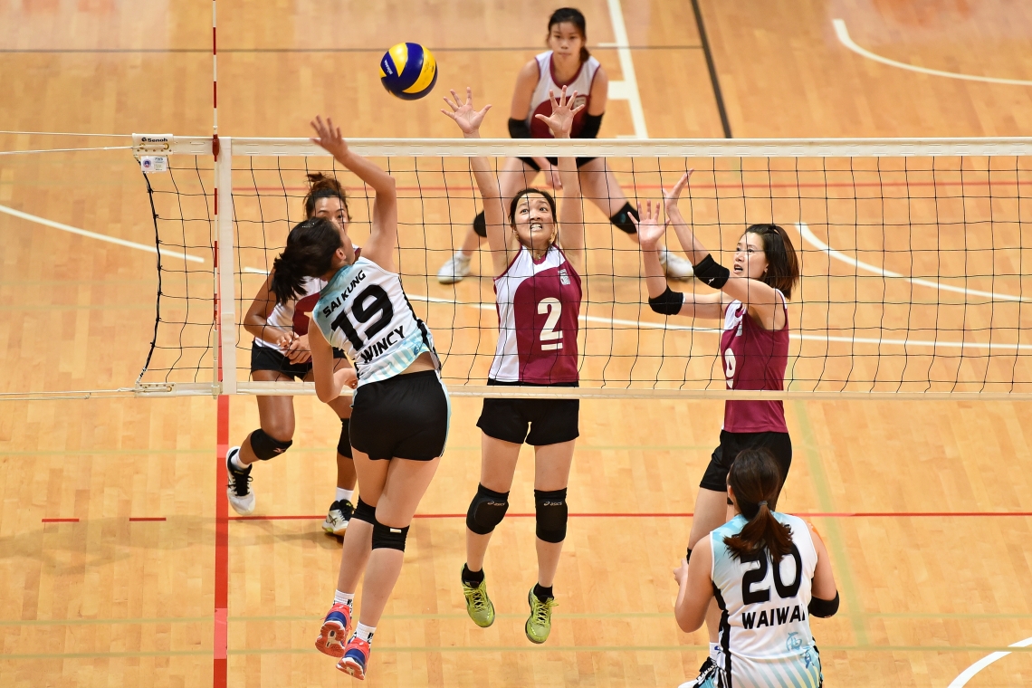 Banner of Volleyball, 排球橫幅